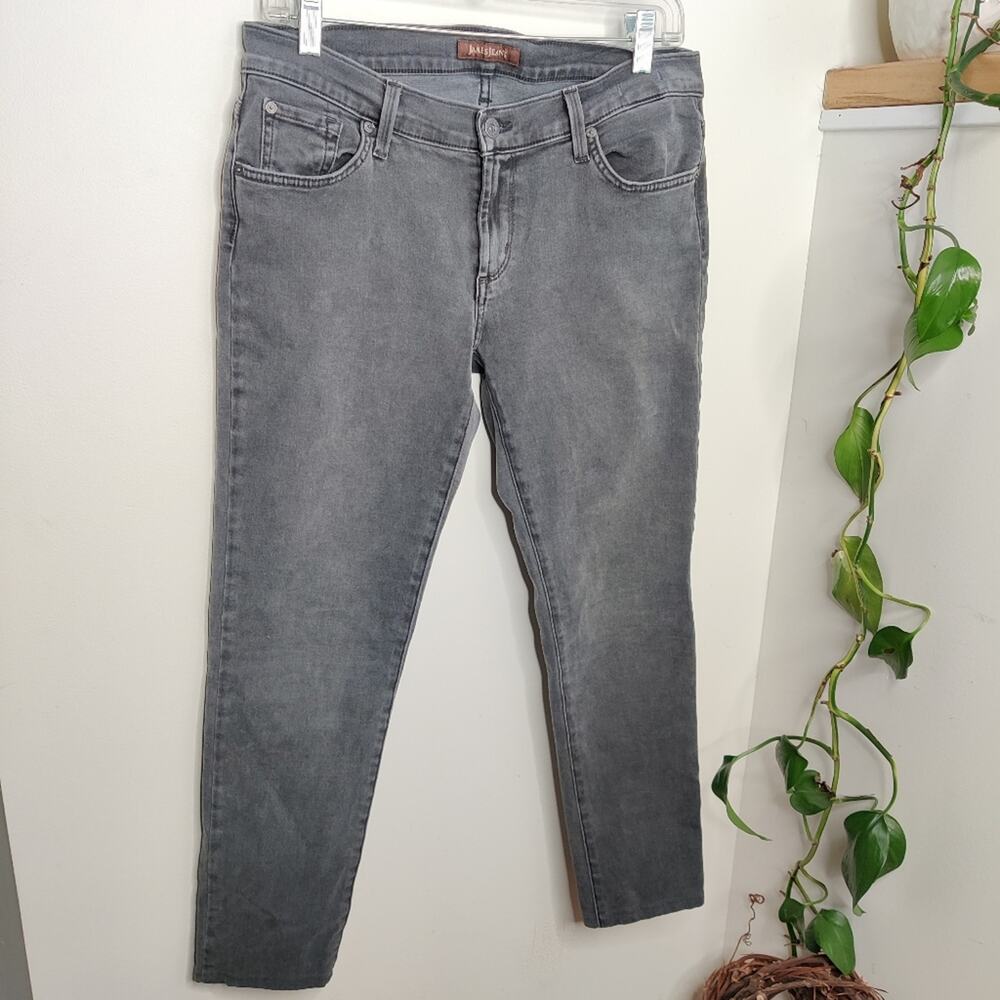 James Jeans James Twiggy Style in Slate II Gray Size 32